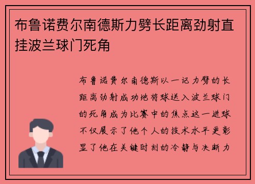布鲁诺费尔南德斯力劈长距离劲射直挂波兰球门死角