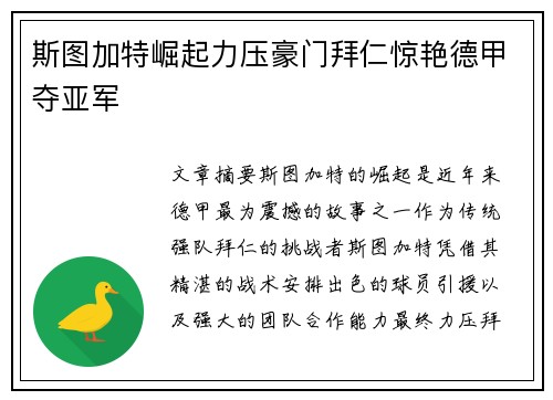 斯图加特崛起力压豪门拜仁惊艳德甲夺亚军