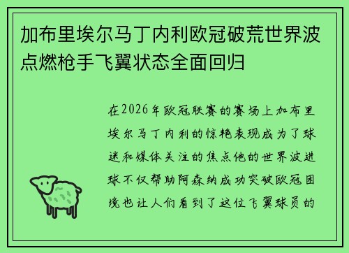加布里埃尔马丁内利欧冠破荒世界波点燃枪手飞翼状态全面回归